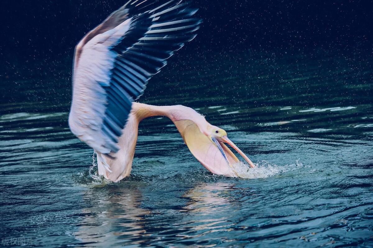 合肥十大爬山景点排名一览表,合肥十大最好玩的景点