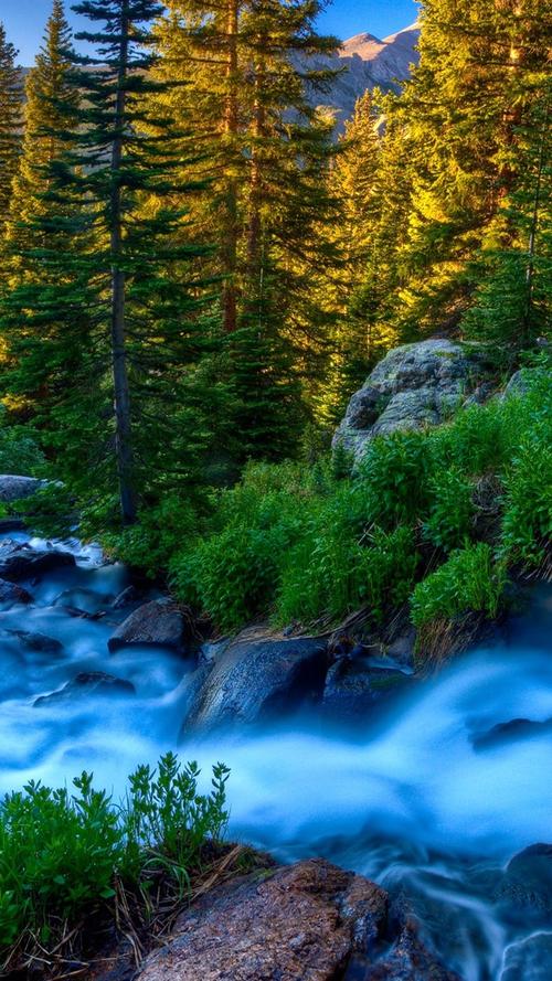 中考作文坚韧勇敢,中考作文勇敢坚韧