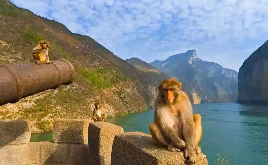 朝辞白帝彩云间中的白帝城指,早发白帝城和朝辞白帝彩云间