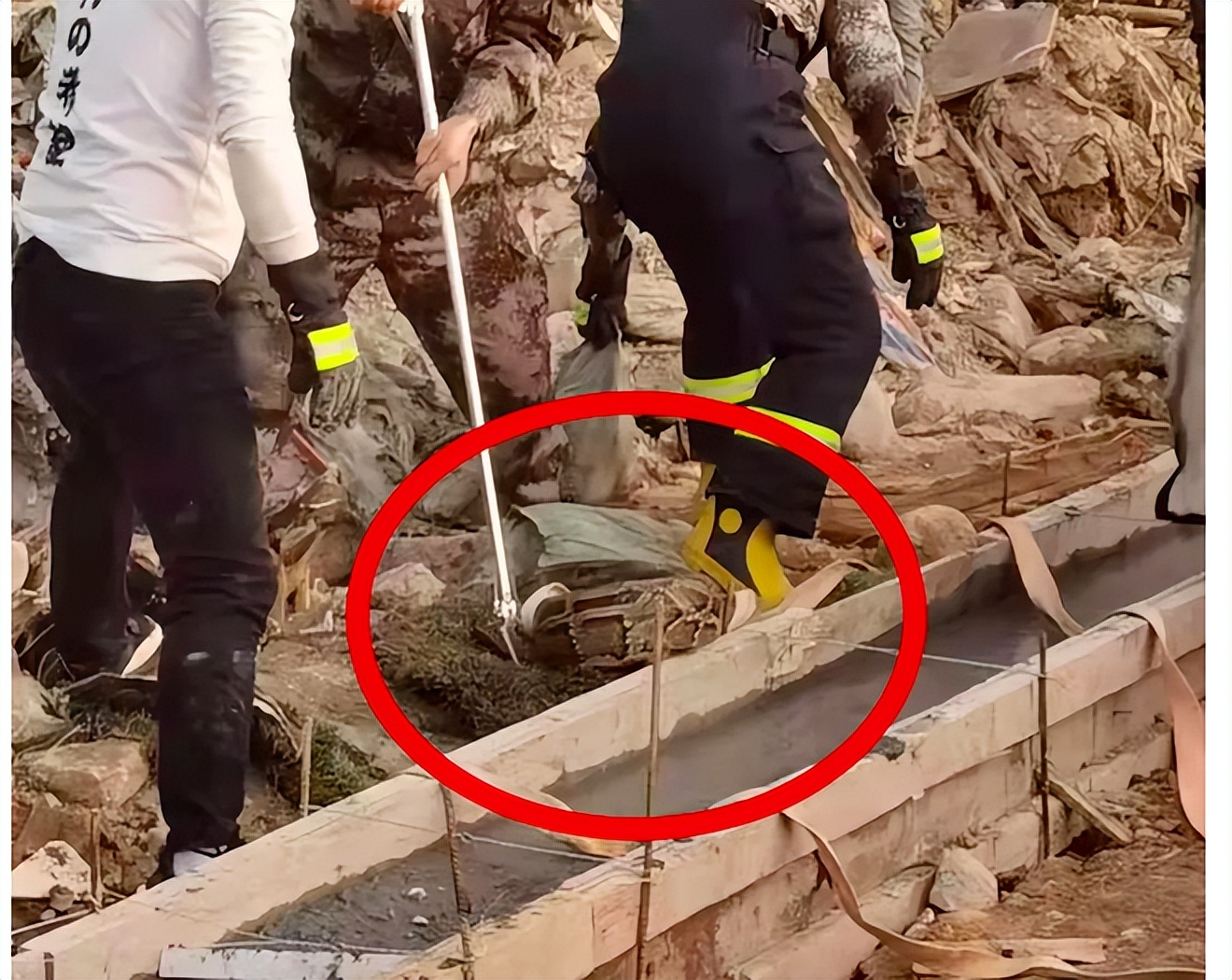 3米巨蟒被咬死,4米巨蟒吞下3只羊羔事件