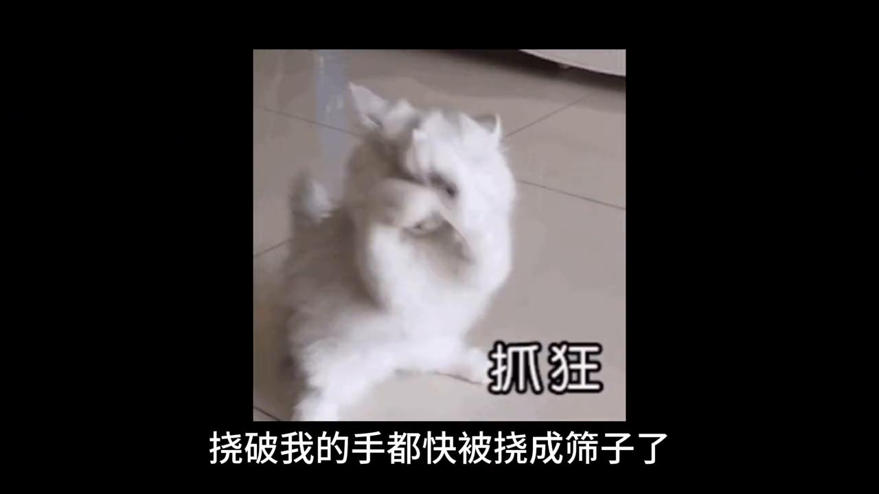 养猫后慢慢讨厌猫怎么办,养猫久了会讨厌狗吗