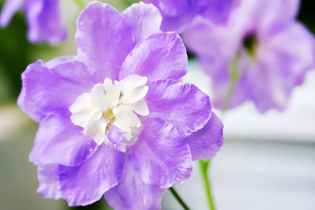 如果遇到了此生真爱会有感应吗,如果遇到一个真爱你会怎样