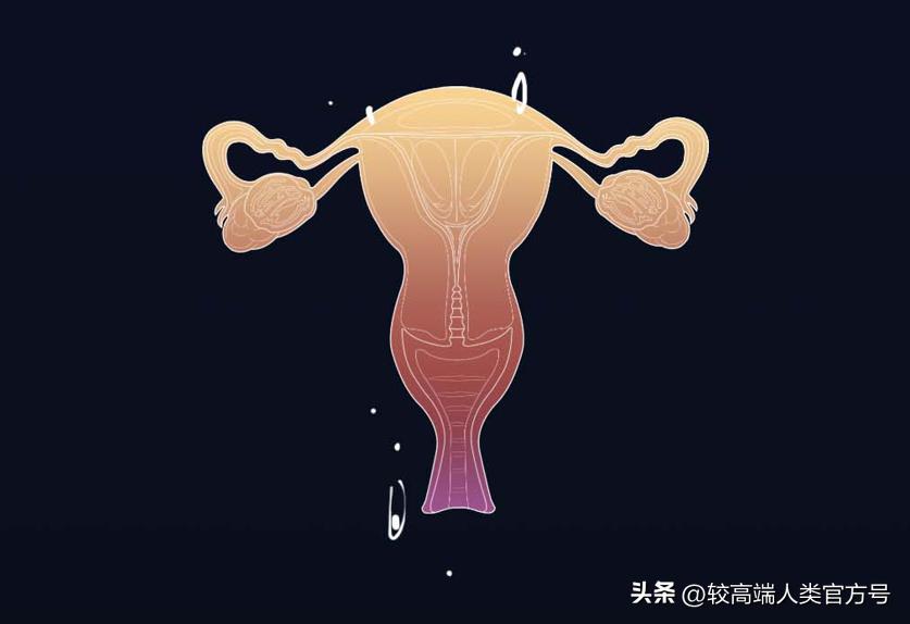 七大智商税产品大揭秘,2021十大智商税产品