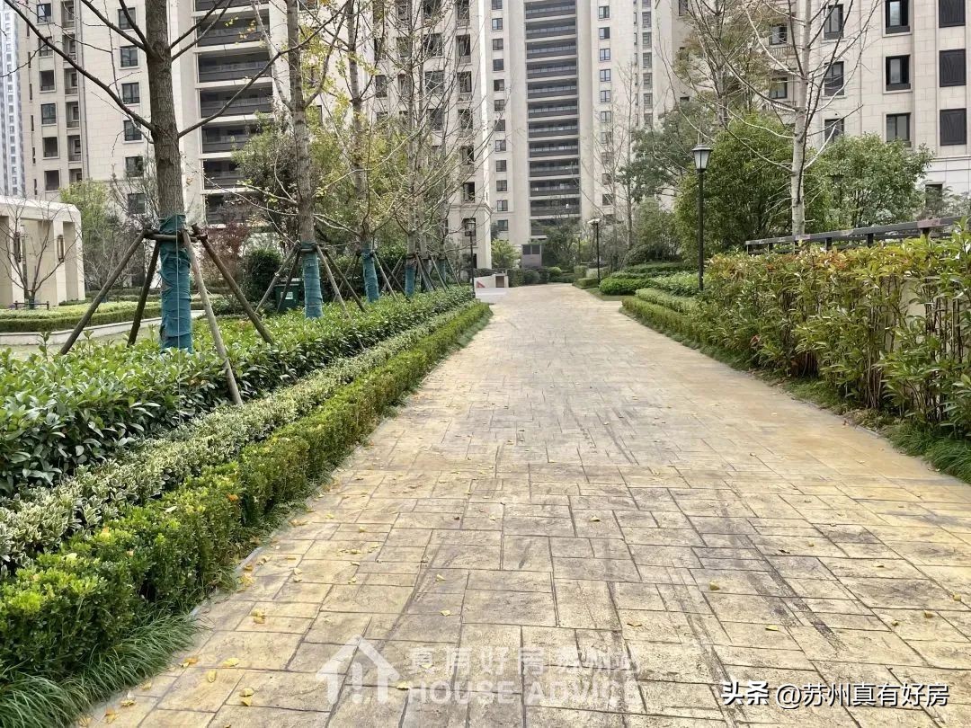 5月苏州新房成交排行,2019年苏州楼市成交top10