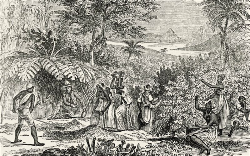 苏里南与荷兰的分手费,苏里南如今状况