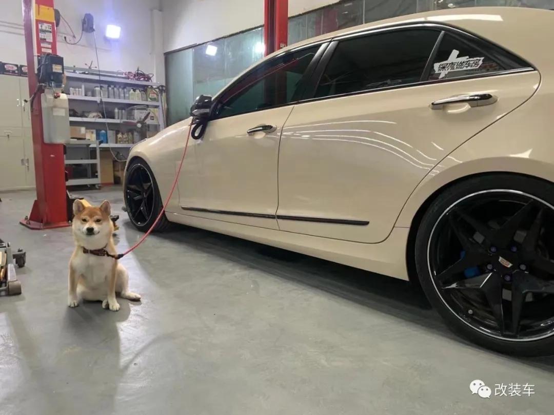 atsl轮上马力实测,发动机动力降低凯迪拉克atsl