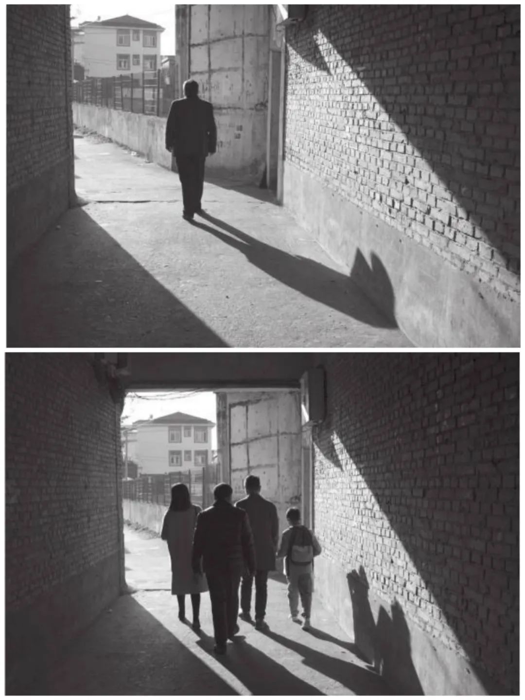 刘奕君写的不亦乐乎讲的是什么,阅读妙趣横生