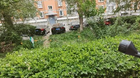 倍思无线洗车测评,倍思无线洗车水枪测评