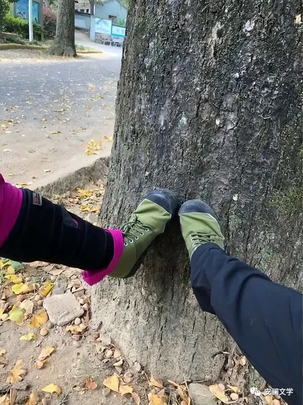 解放鞋价格,解放鞋