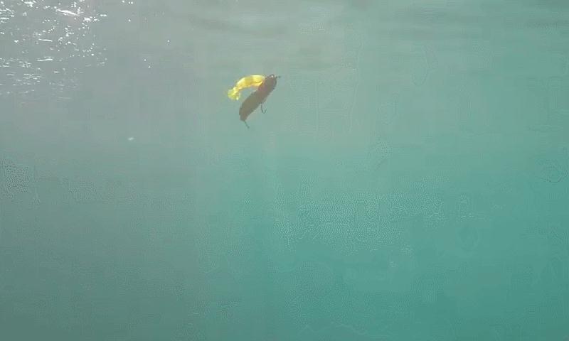 娓斿叿璧勮,閽撻奔璧勮娓旀粙娓斿懗