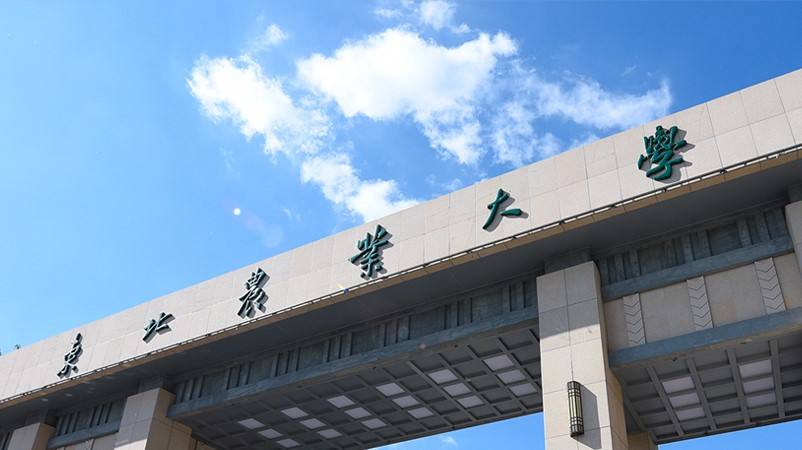 东北林大好找工作吗,东北农大本硕博班就业前景