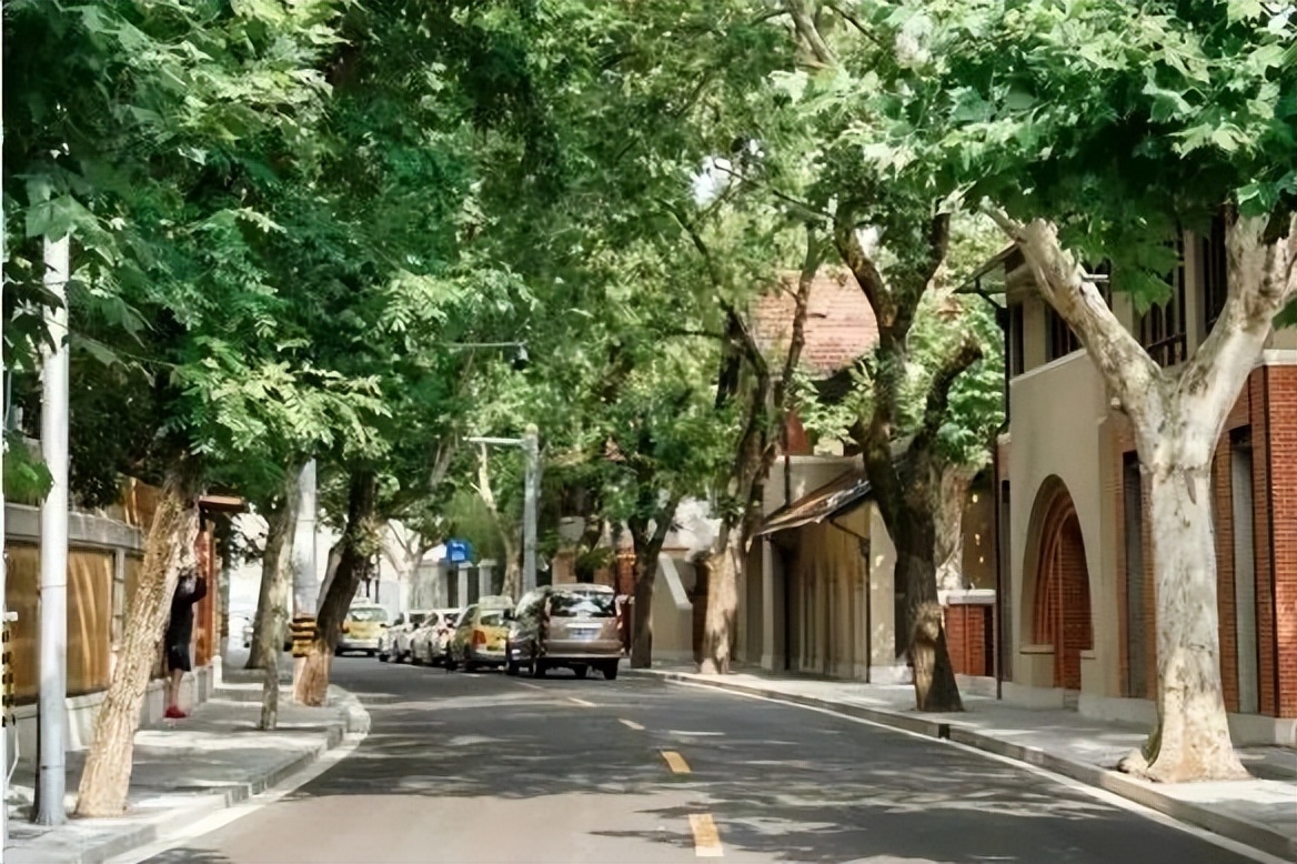 实探迈阿密,实探