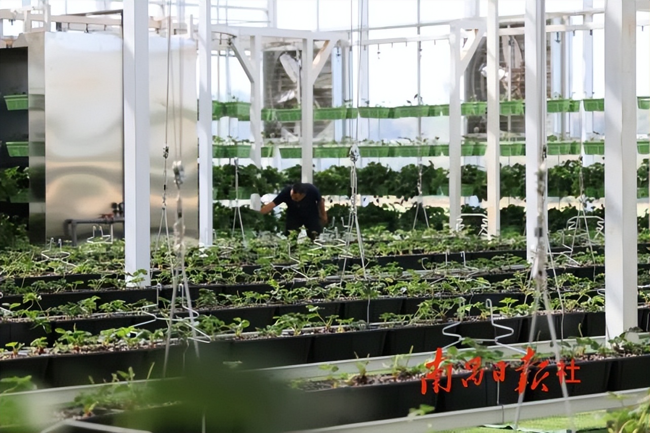 宽创国际｜淘宝上线3D商城，双11进入元宇宙时代