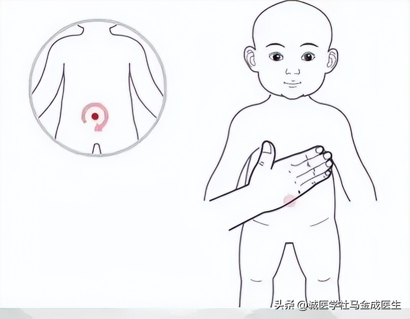 脾虚怎么补？脾气虚，脾阳虚，脾不统血？教你穴位和食疗，不花钱