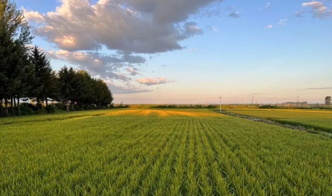 解析全国16个整村运营,解码全国16个整村运营经典案例