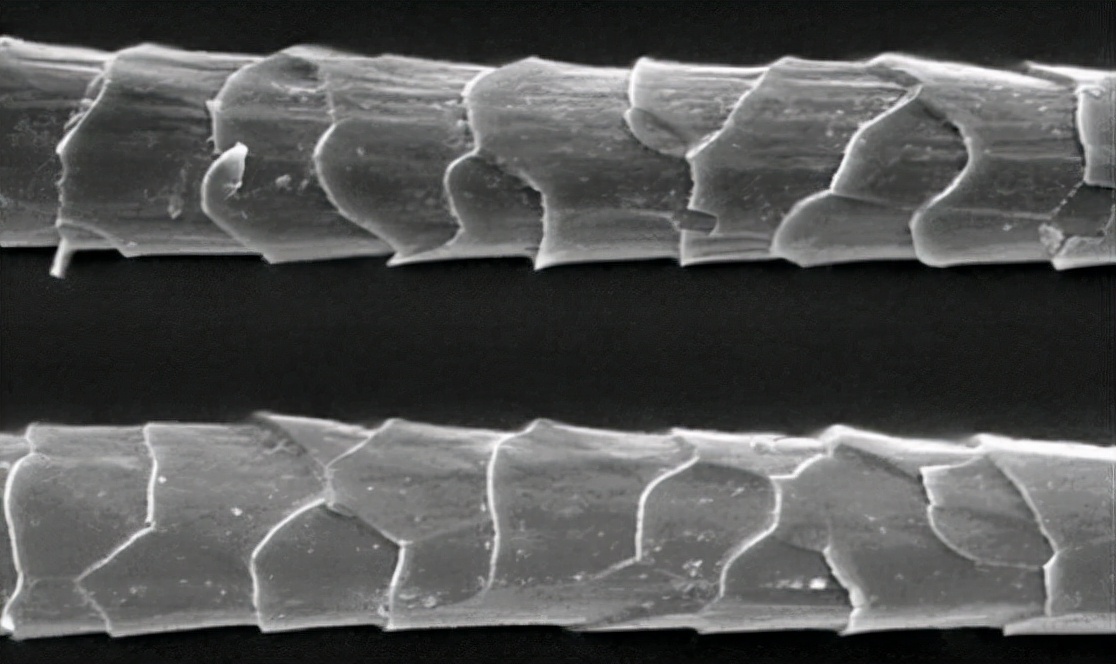 洗衣机上的羊毛黑标是干什么的,带羊毛绿标洗衣机评测