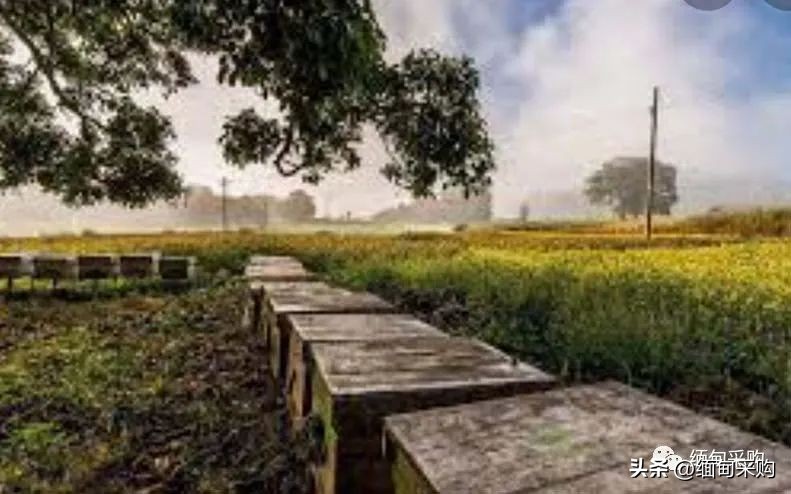 缅甸2022年财政收入,缅甸政府2023年财政预算