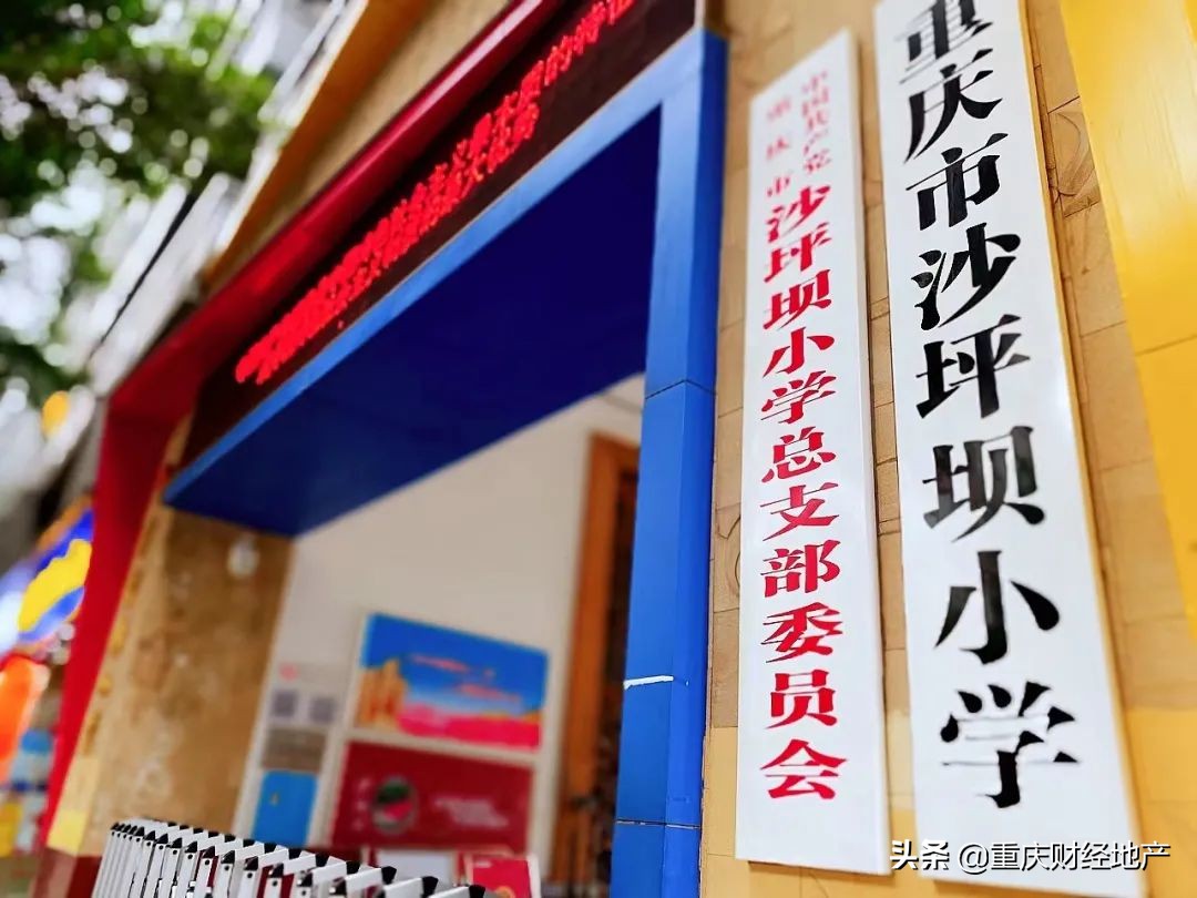 渝中区和沙坪坝哪个教育好,重庆渝中和渝北哪个好