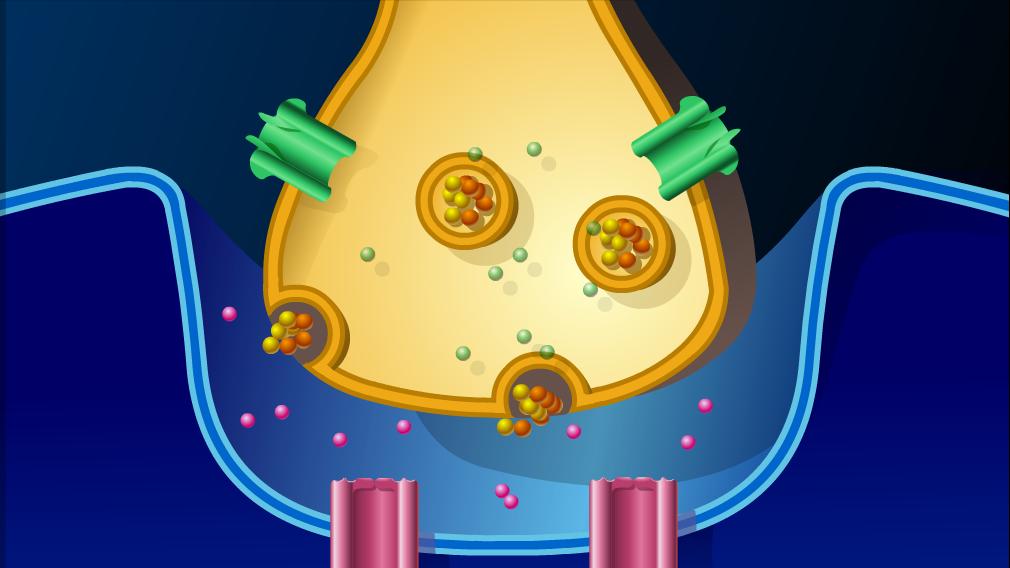睡觉时身体突然抖一下原因是什么,睡觉中身体突然抖一下是什么原因