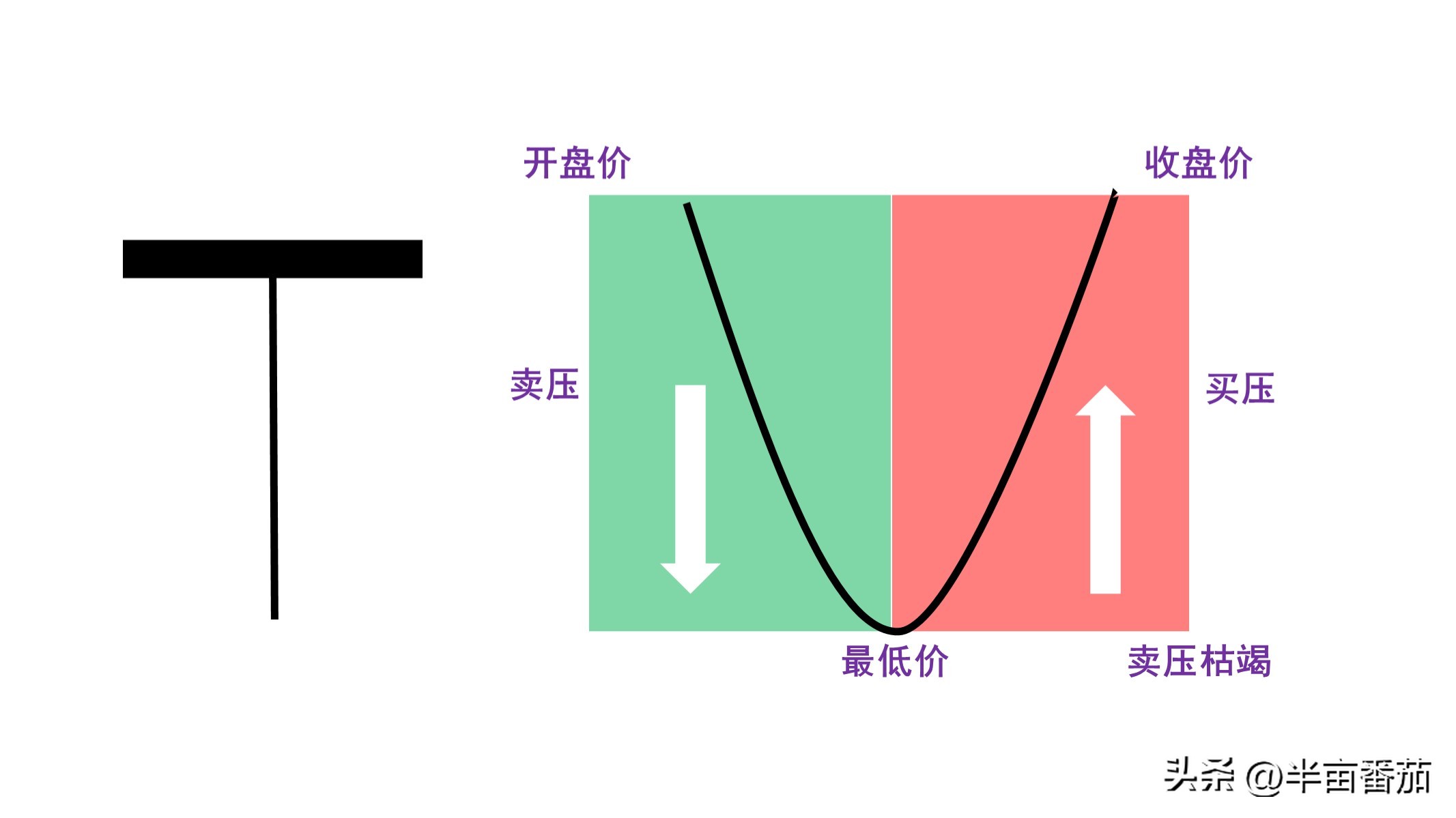 阅读量分析的几个方面,阅读量整体数据