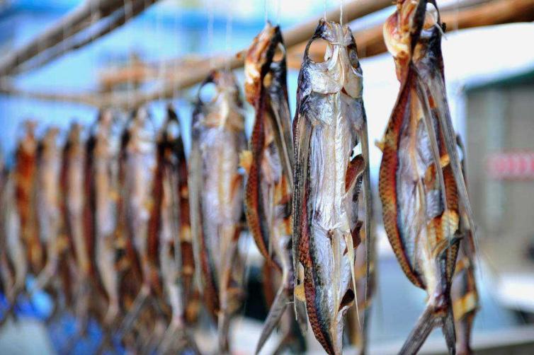 杭州周边亲子游自驾游推荐,杭州周边自驾游免费景点推荐