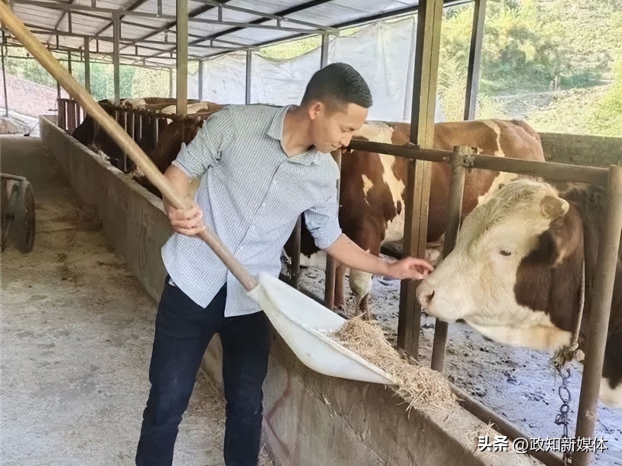 全国团代会几点召开,团代会有哪些人去参加