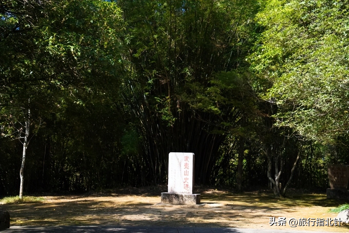福建旅游攻略武夷山,福建武夷山旅游攻略一日游