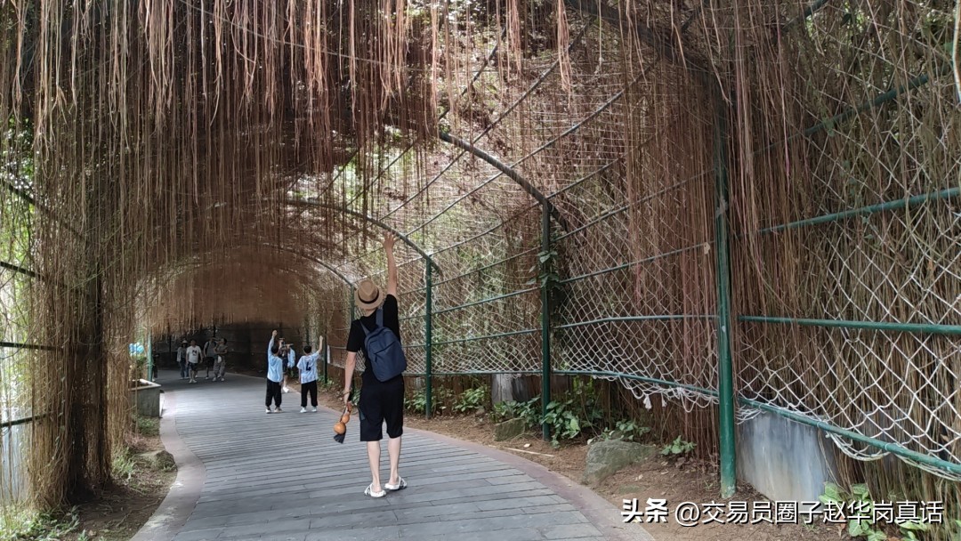 千万不要急着赚钱,急于赚钱又急于解套