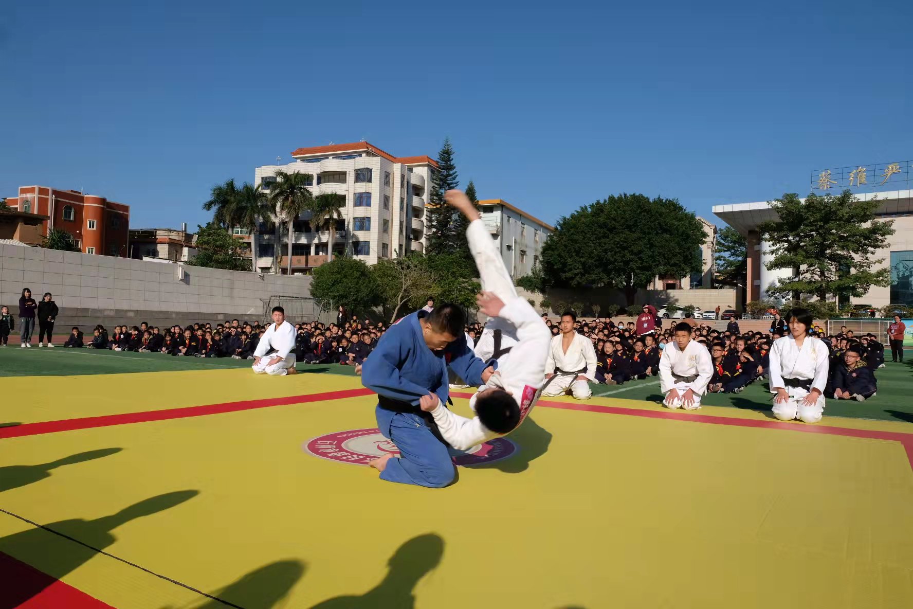 柔道项目进校园,柔道教育