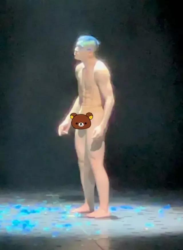 公孔雀老是啄母孔雀,公孔雀和母孔雀的日常生活