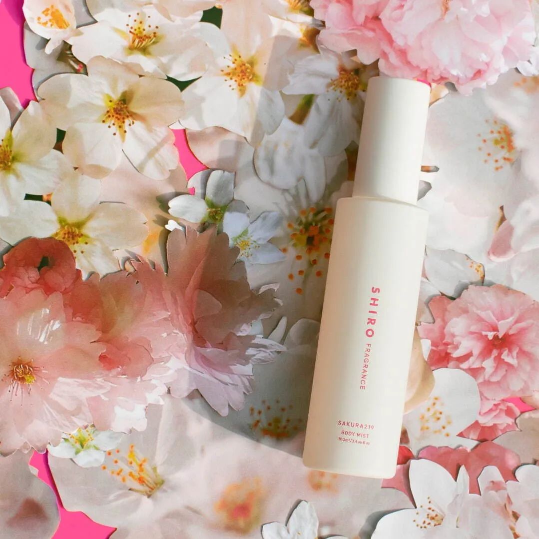 日本最佳赏樱时间表,日本将取消入境人数限制