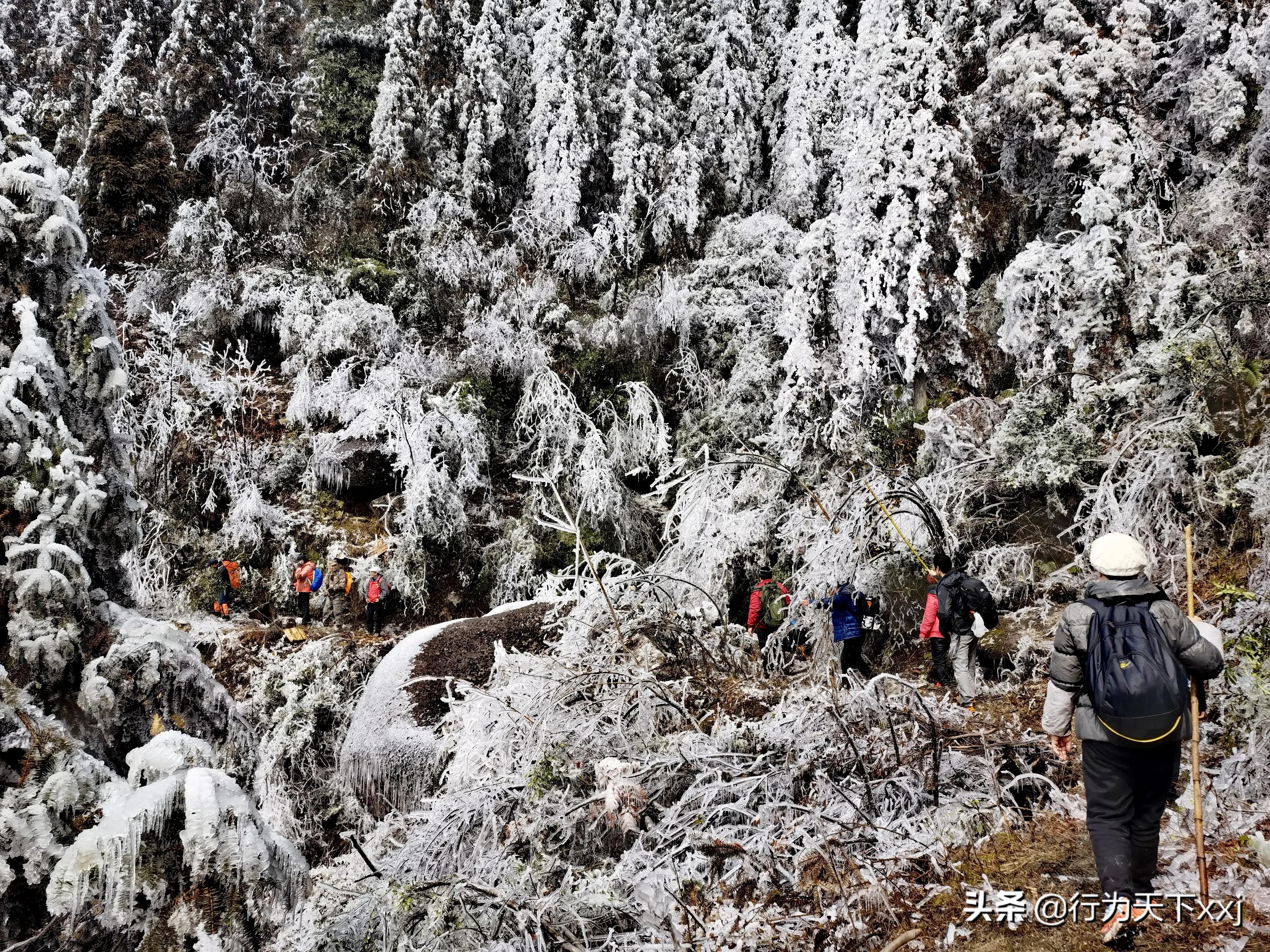 回忆红军长征走过的路,忆红军万里长征
