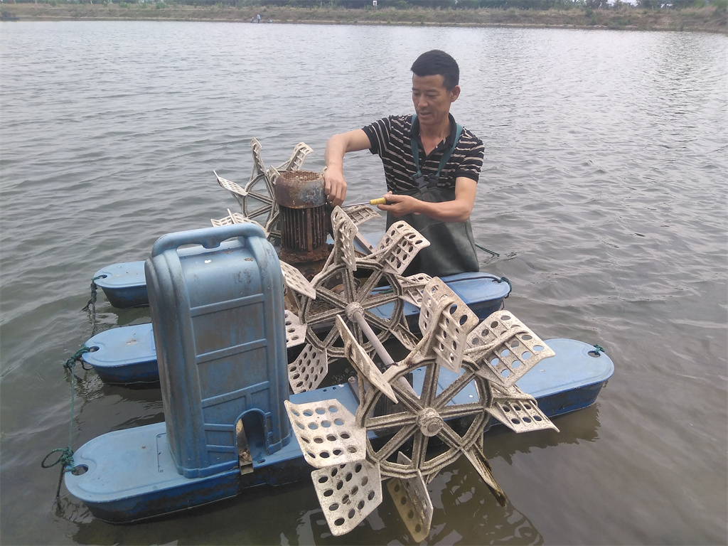 从门外汉到养殖能手,从门外汉到精英骨干