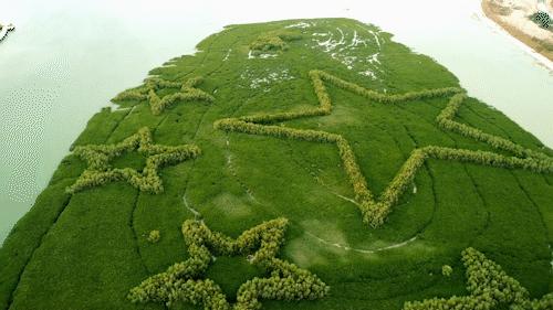 理工科博士科研,理工科博士有多厉害