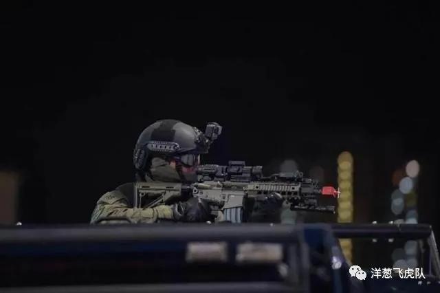 虎年说虎科普视频,虎年说虎运用了哪些说明方法