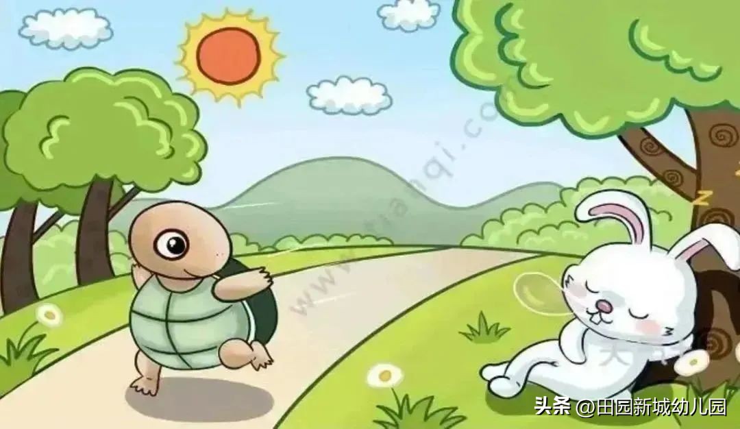 课程故事乌龟大班,嗨小鸭课程故事