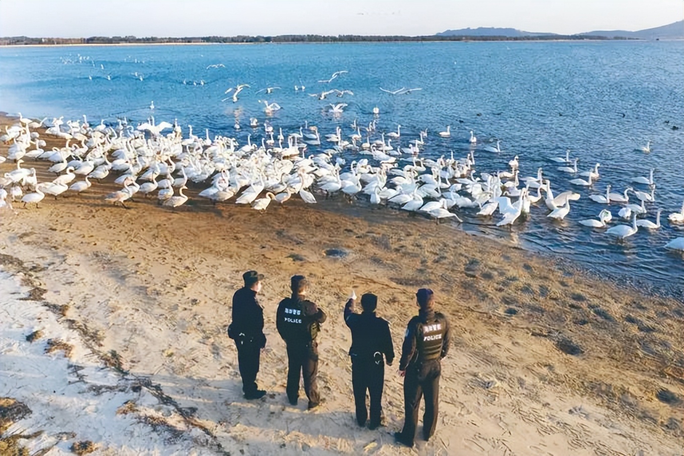 山东公安新政最全解读,2023年山东公安交出亮眼成绩单