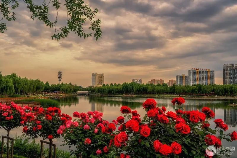 你好,我叫南阳,这是我的简历