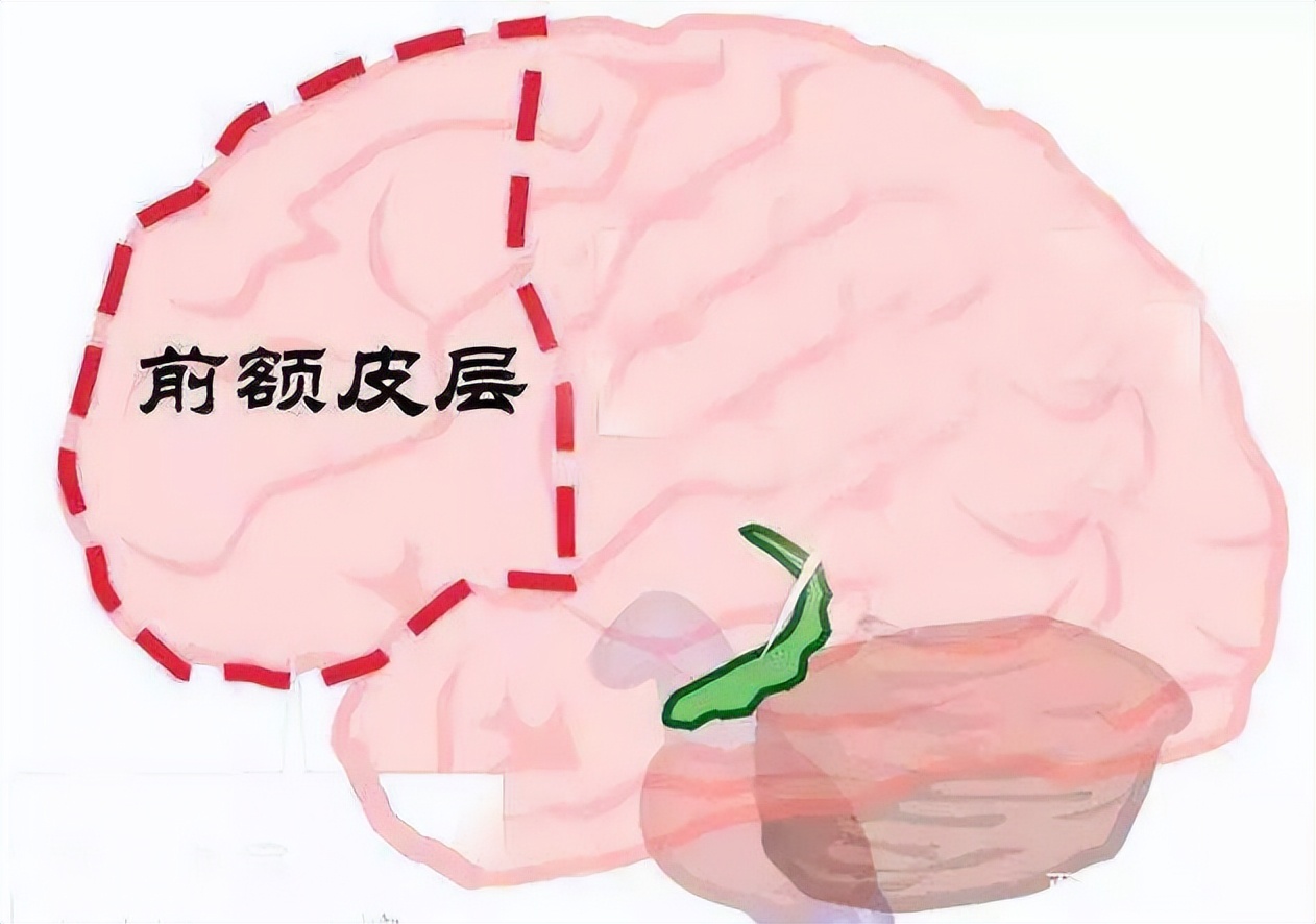 脑科学博士让孩子成为学霸很简单,脑科学博士教睡眠