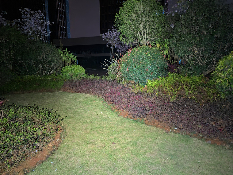 傲雷经典手电,傲雷uv手电