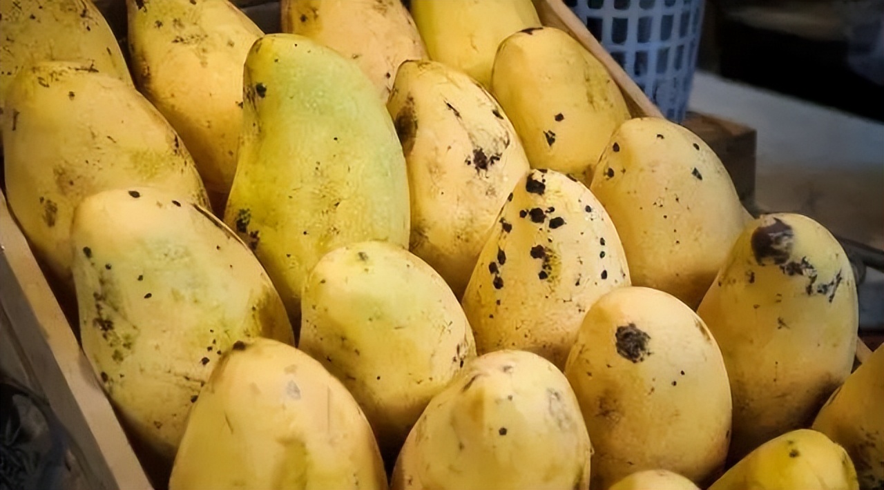 关于芒果价格,关于西瓜的消费提示