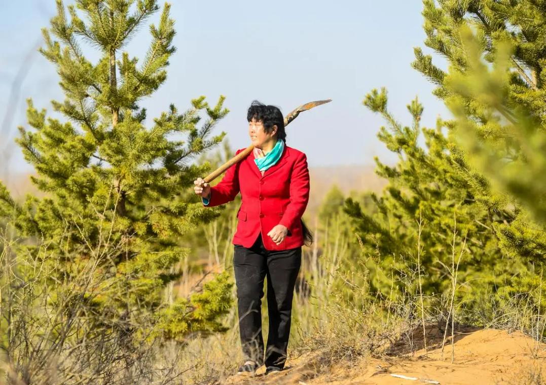 19岁女孩被父母逼迫嫁人第二集,19岁的女孩被迫嫁到荒漠