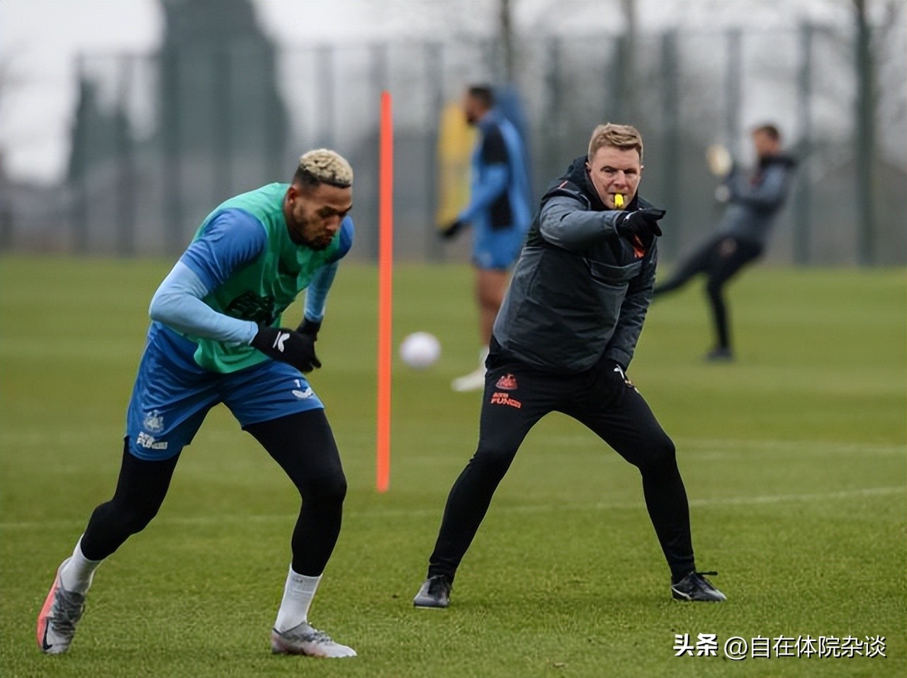 埃迪豪逆转球员,埃迪豪履历