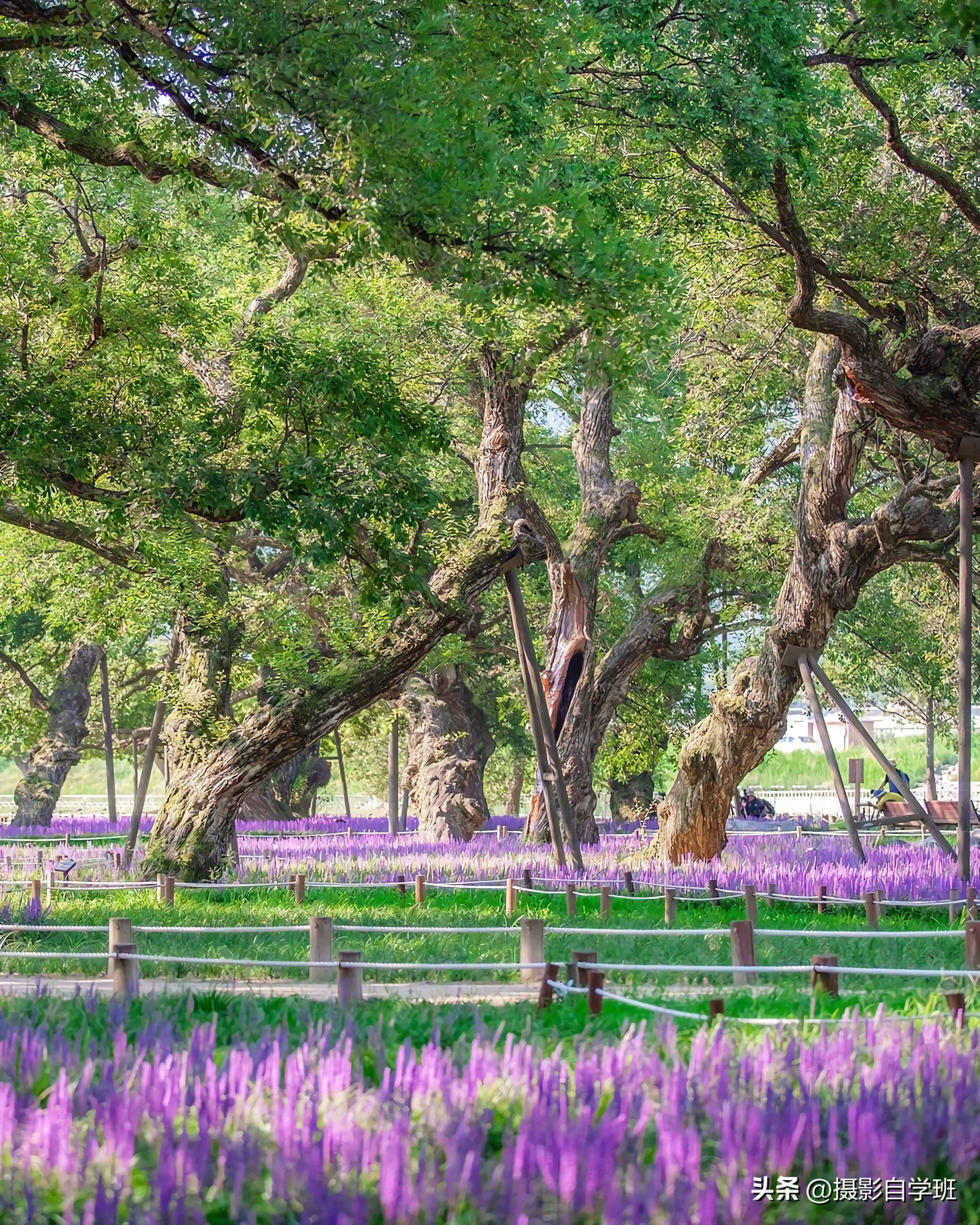 拍风景照片的摄影技巧,风景摄影入门初学者拍照技巧