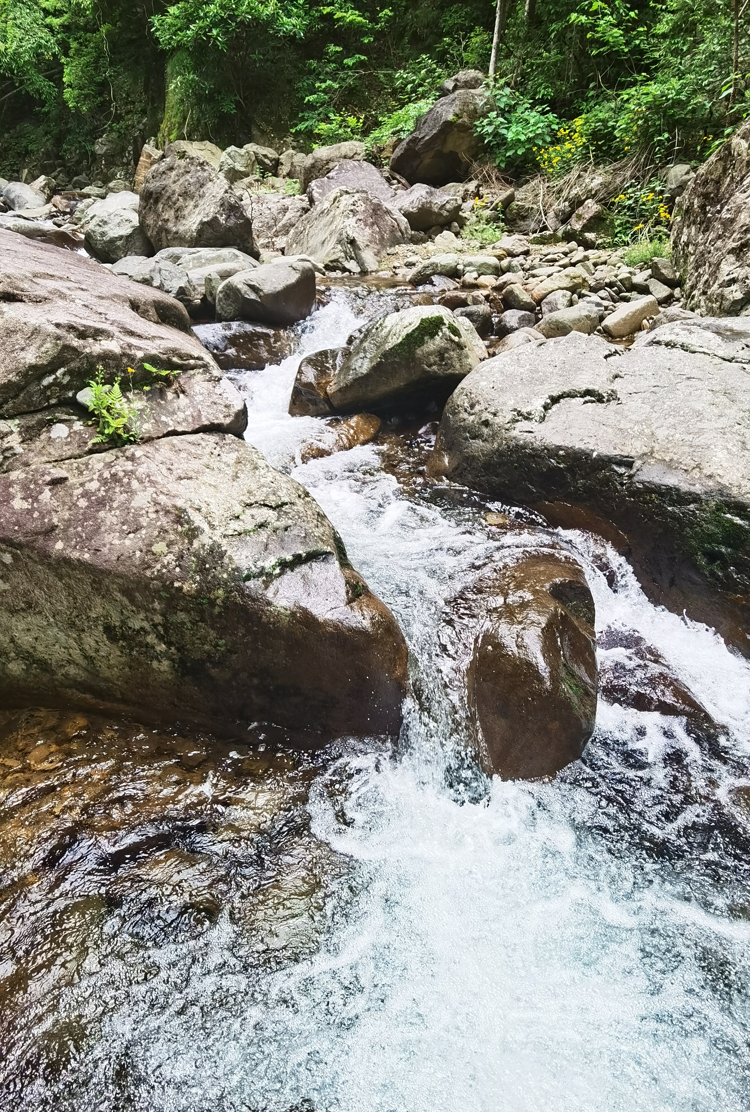 夏季嬉水好去处，初探临安蝴蝶谷