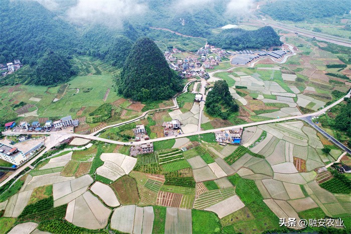 广西融安绘就美丽乡村画卷感想,融安泗顶田园航拍