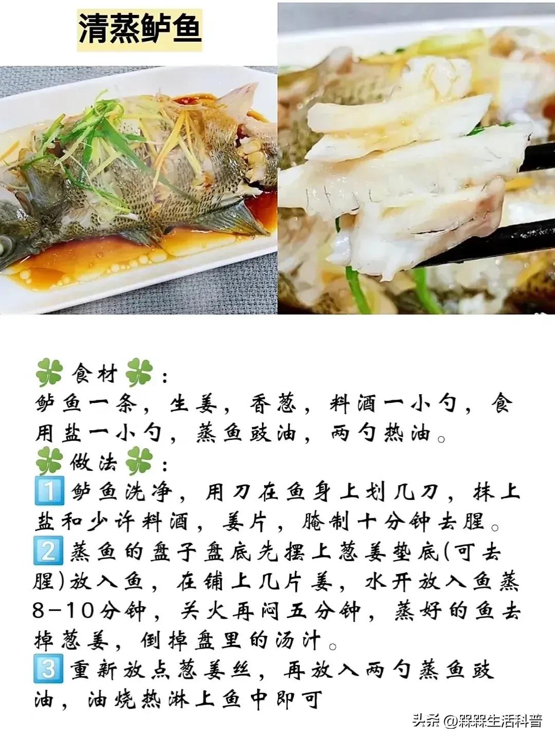 各种鱼图解大全,100种常见家常鱼的图片