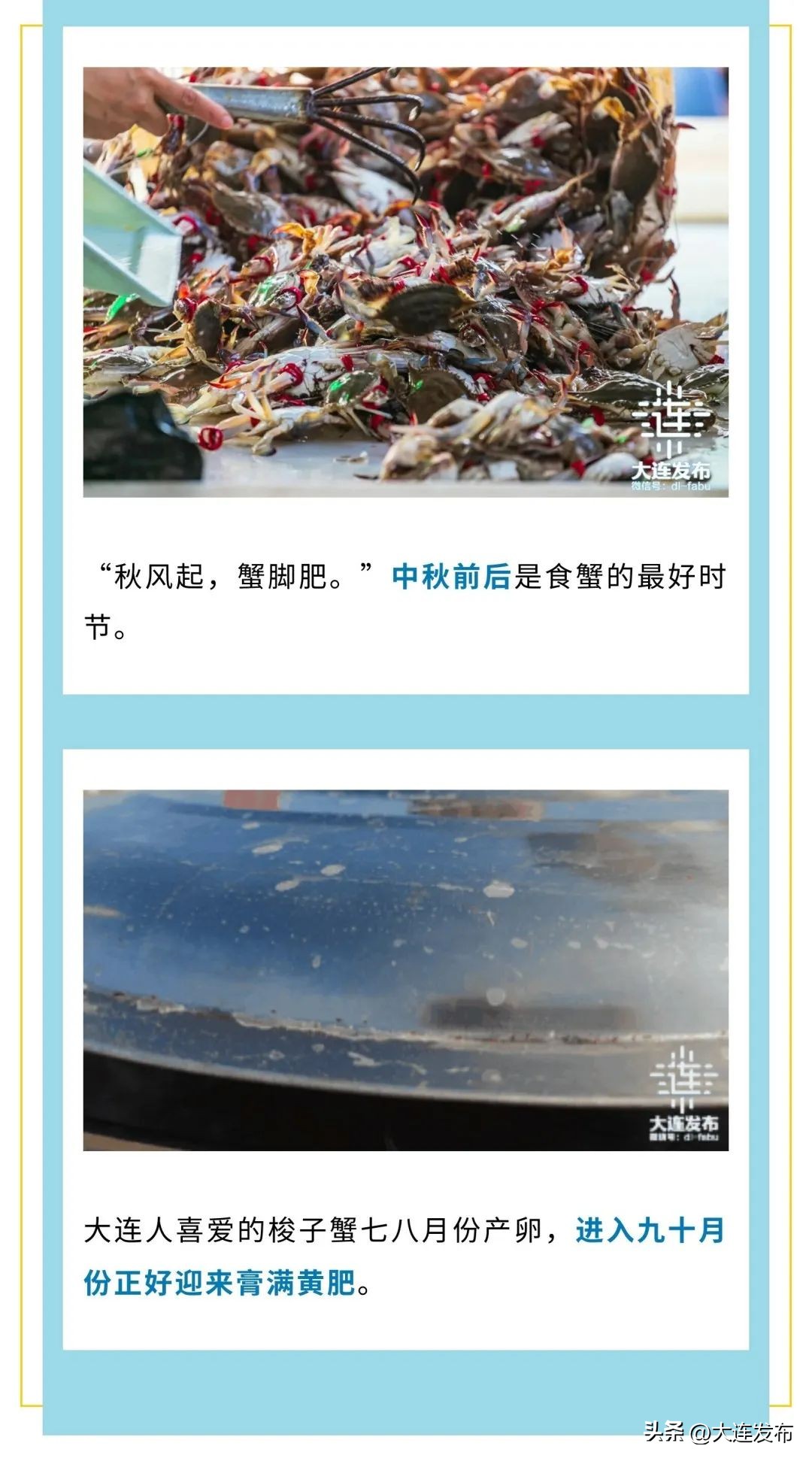 实现海鲜自由的秘诀,实现海鲜自由另一种说法