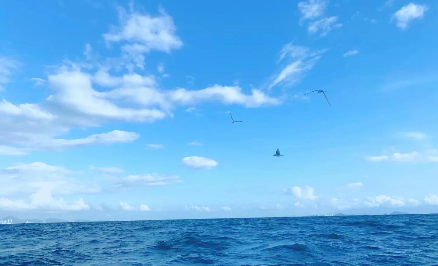 心血管的药二天吃一回行吗,心血管内科用药第二版