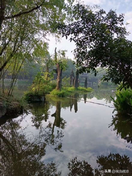 自由行成都,成都黄龙溪古镇自行旅游攻略